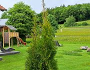 Erholsamer Blick ins Grüne